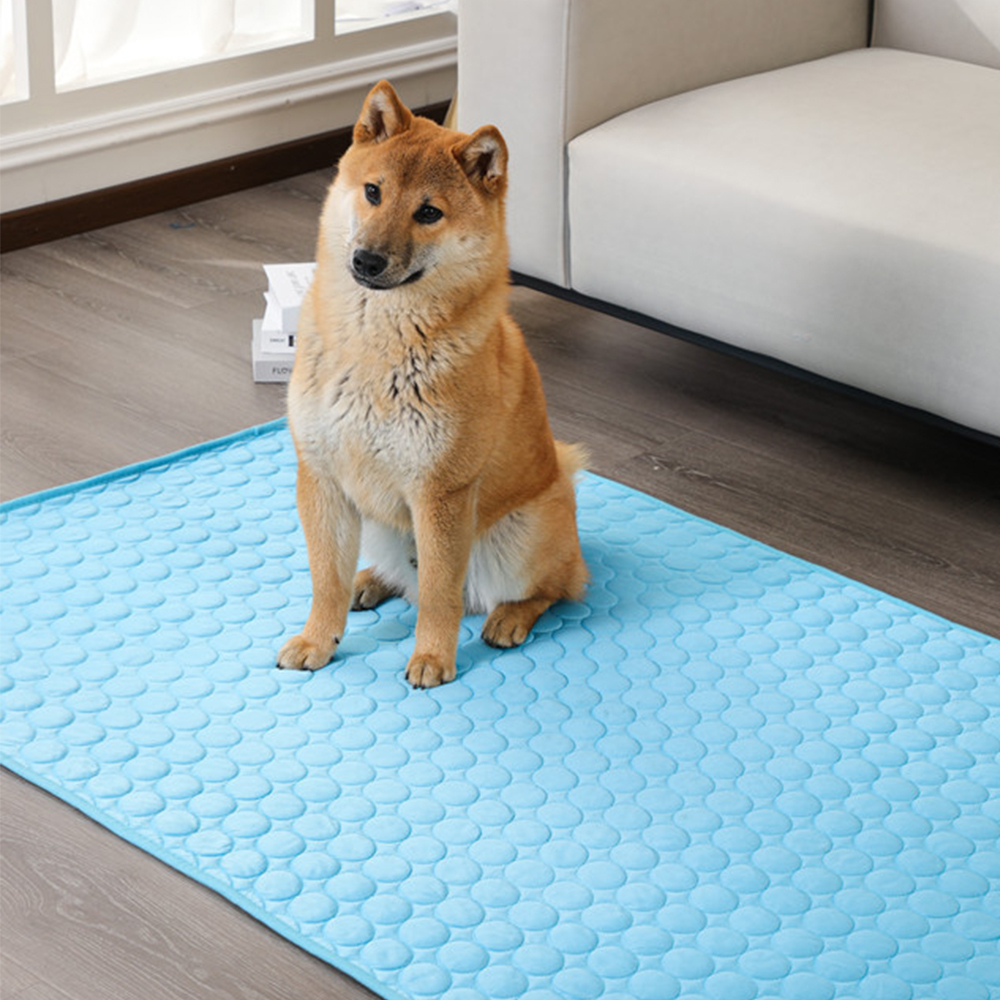 FRESH CARPET™ | TAPIS RAFRAICHISSANT CHIEN