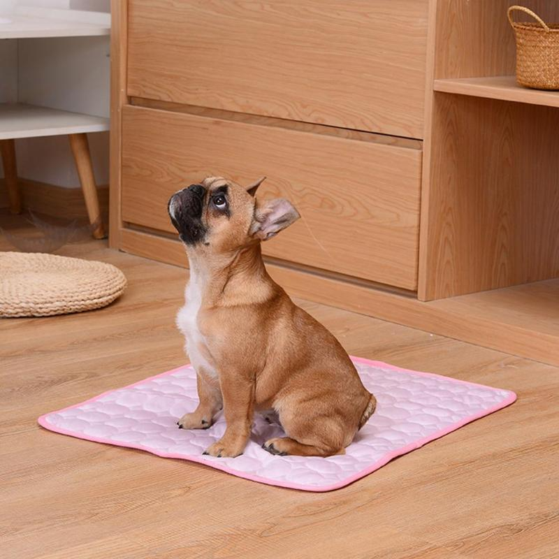 FRESH CARPET™ | TAPIS RAFRAICHISSANT CHIEN