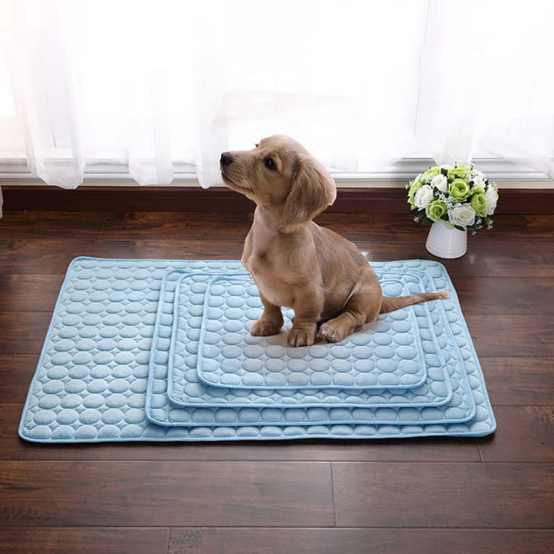 FRESH CARPET™ | TAPIS RAFRAICHISSANT CHIEN