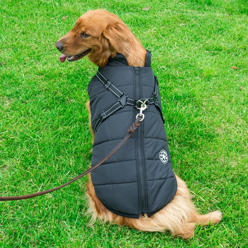 DOUDOUNE CANAILLE™ | MANTEAU POUR PETIT CHIEN AVEC HARNAIS INTÉGRÉ