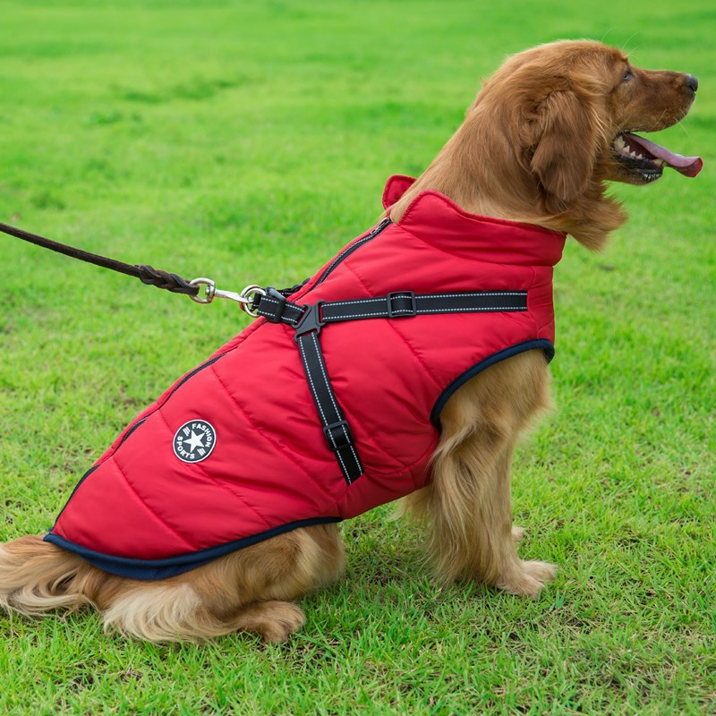 DOUDOUNE CANAILLE™ | MANTEAU POUR PETIT CHIEN AVEC HARNAIS INTÉGRÉ