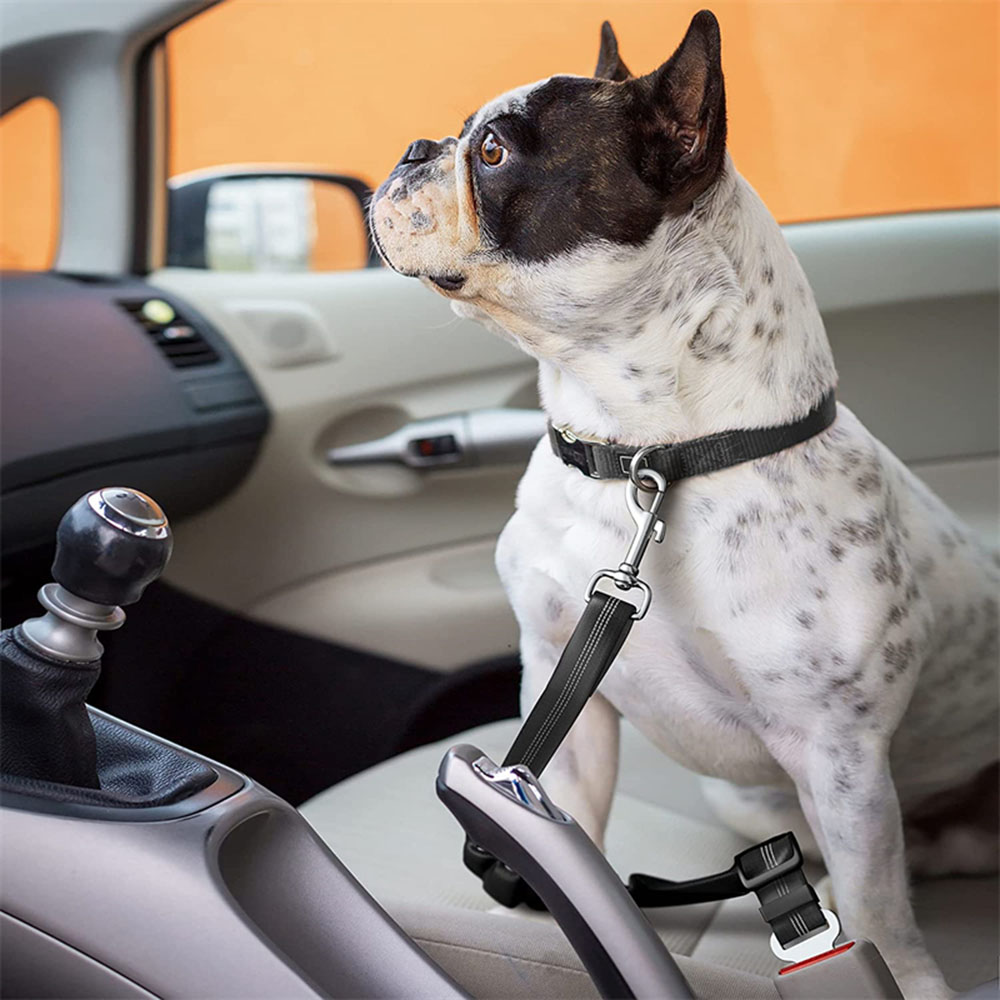 DOGGY BELT™ | CEINTURE DE SÉCURITÉ POUR CHIEN