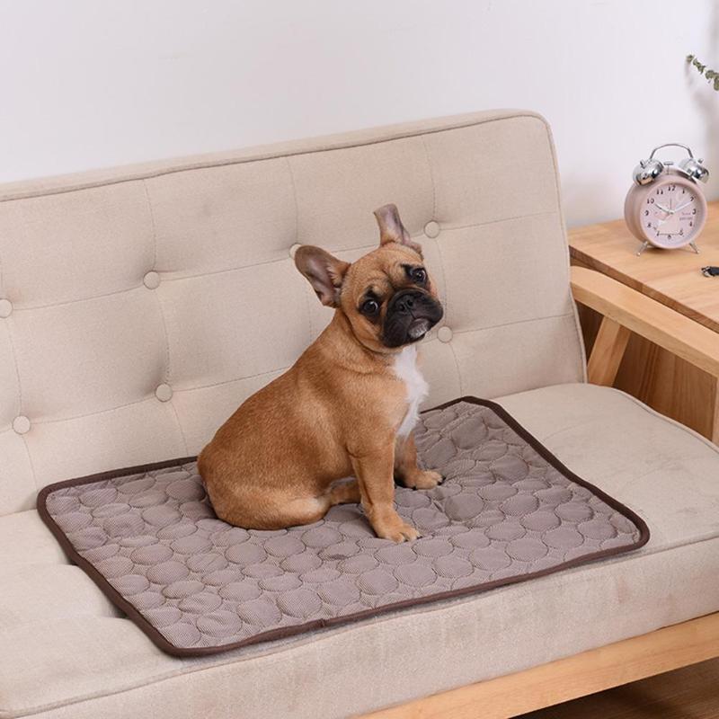 FRESH CARPET™ | TAPIS RAFRAICHISSANT CHIEN