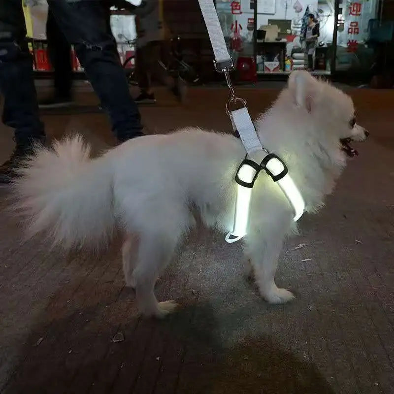 SAFE NIGHT HARNESS™| HARNAIS LUMINEUX CHIEN
