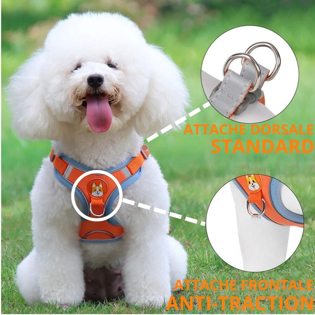 FRIMOUSSE™ | HARNAIS ANTI TRACTION CHIEN
