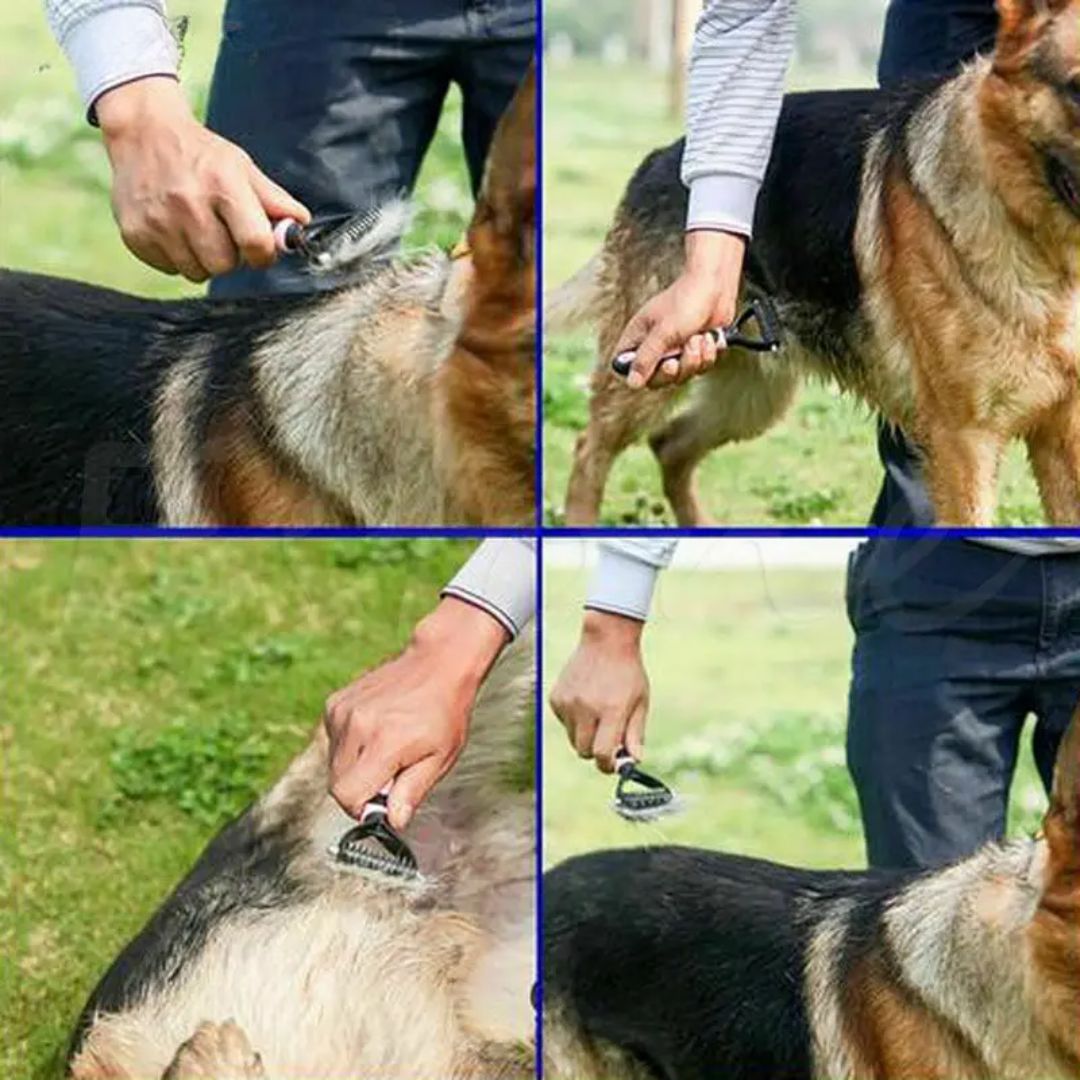CLEAN EASY™ | BROSSE POUR CHIEN