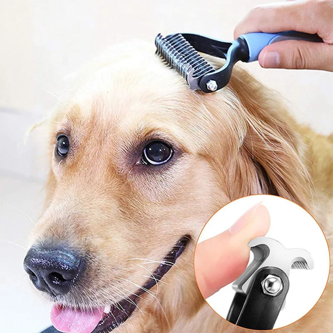 CLEAN EASY™ |  BROSSE POUR CHIEN