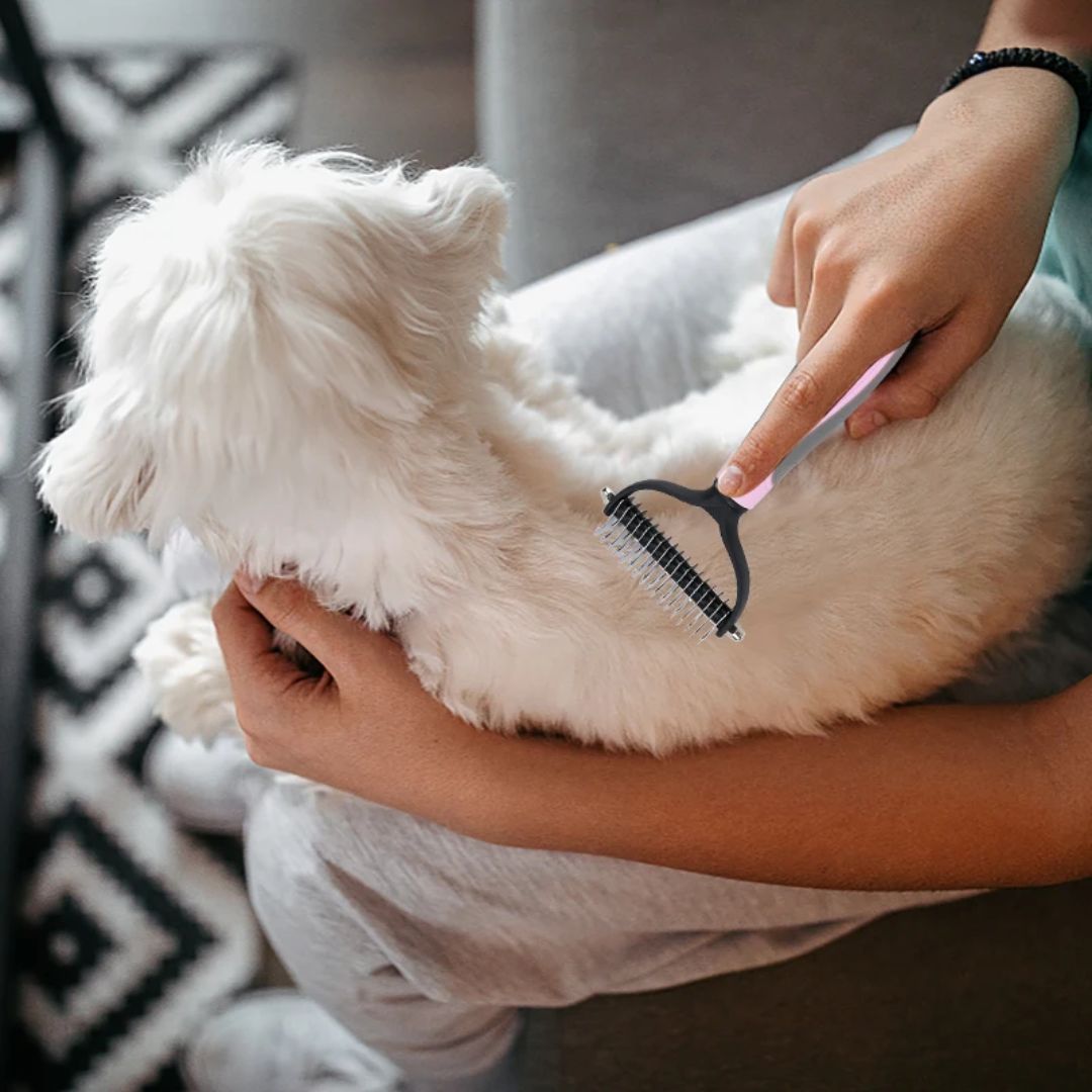 CLEAN EASY™ | BROSSE POUR CHIEN