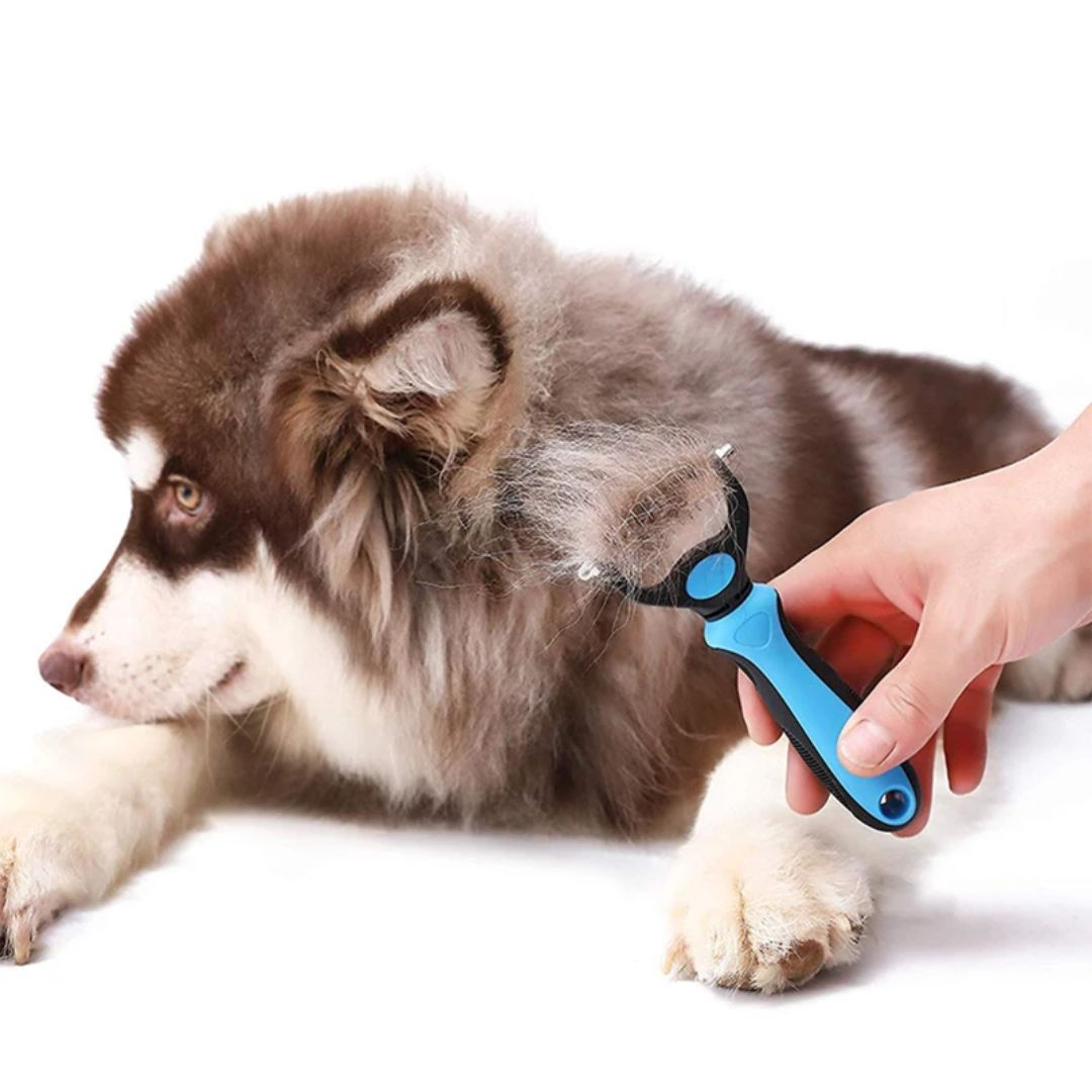 CLEAN EASY™ |  BROSSE POUR CHIEN