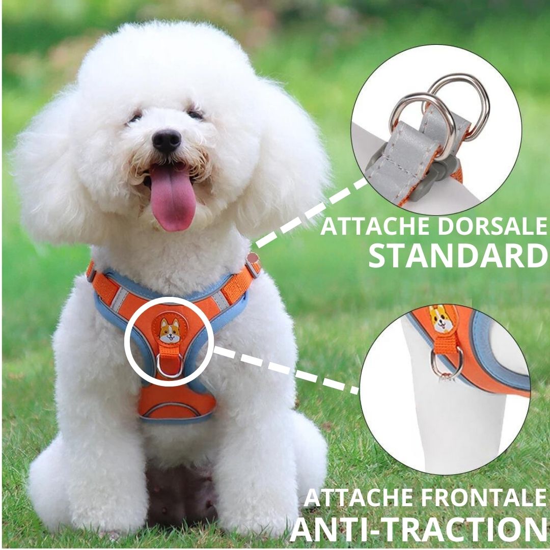 FRIMOUSSE™ | HARNAIS ANTI TRACTION CHIEN