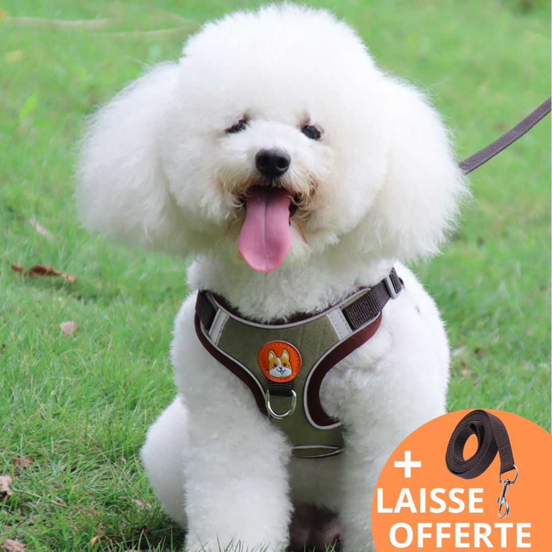 FRIMOUSSE™ | HARNAIS ANTI TRACTION CHIEN
