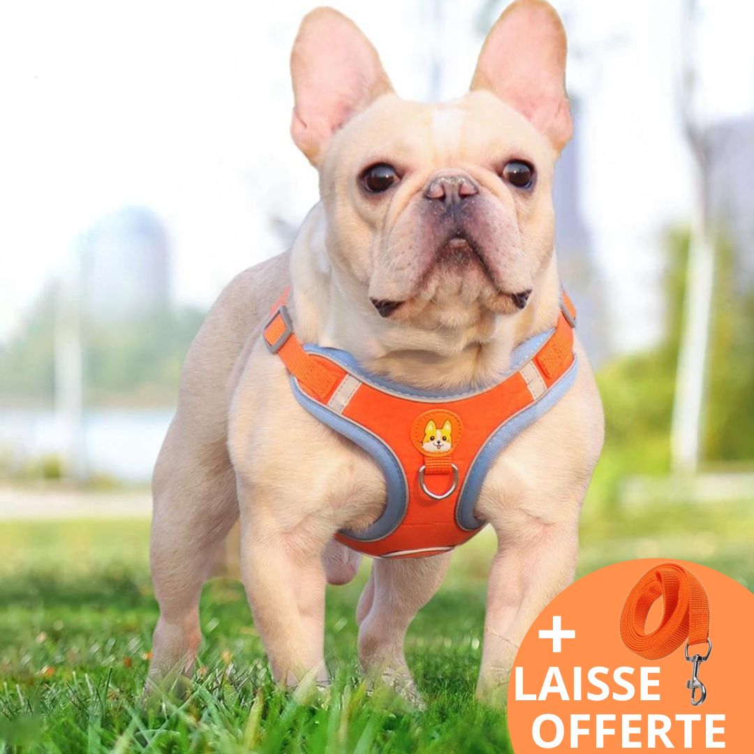 FRIMOUSSE™ | HARNAIS ANTI TRACTION CHIEN