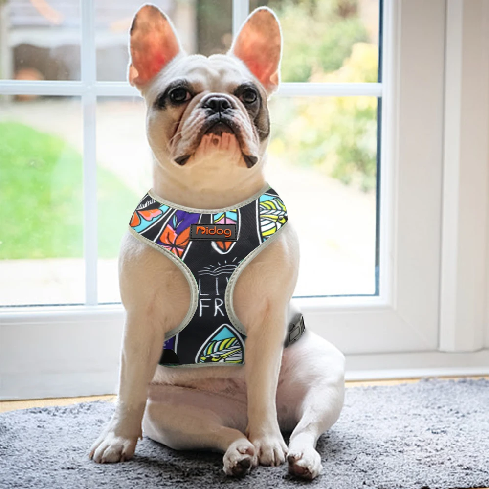 HAPPY FUN™| HARNAIS BOULEDOGUE FRANÇAIS