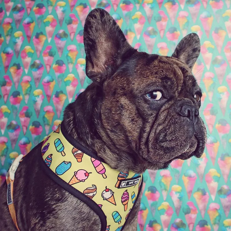 FRENCH LOVER™| HARNAIS BOULEDOGUE FRANÇAIS