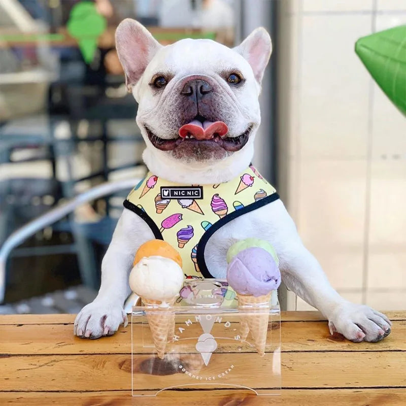 FRENCH LOVER™| HARNAIS BOULEDOGUE FRANÇAIS