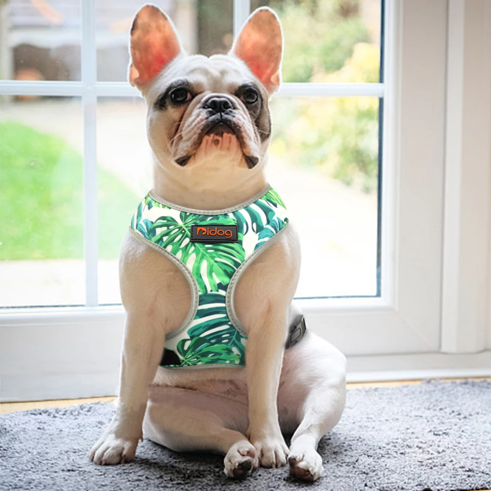 HAPPY FUN™| HARNAIS BOULEDOGUE FRANÇAIS