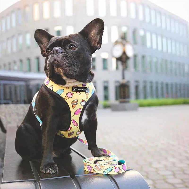 FRENCH LOVER™| HARNAIS BOULEDOGUE FRANÇAIS