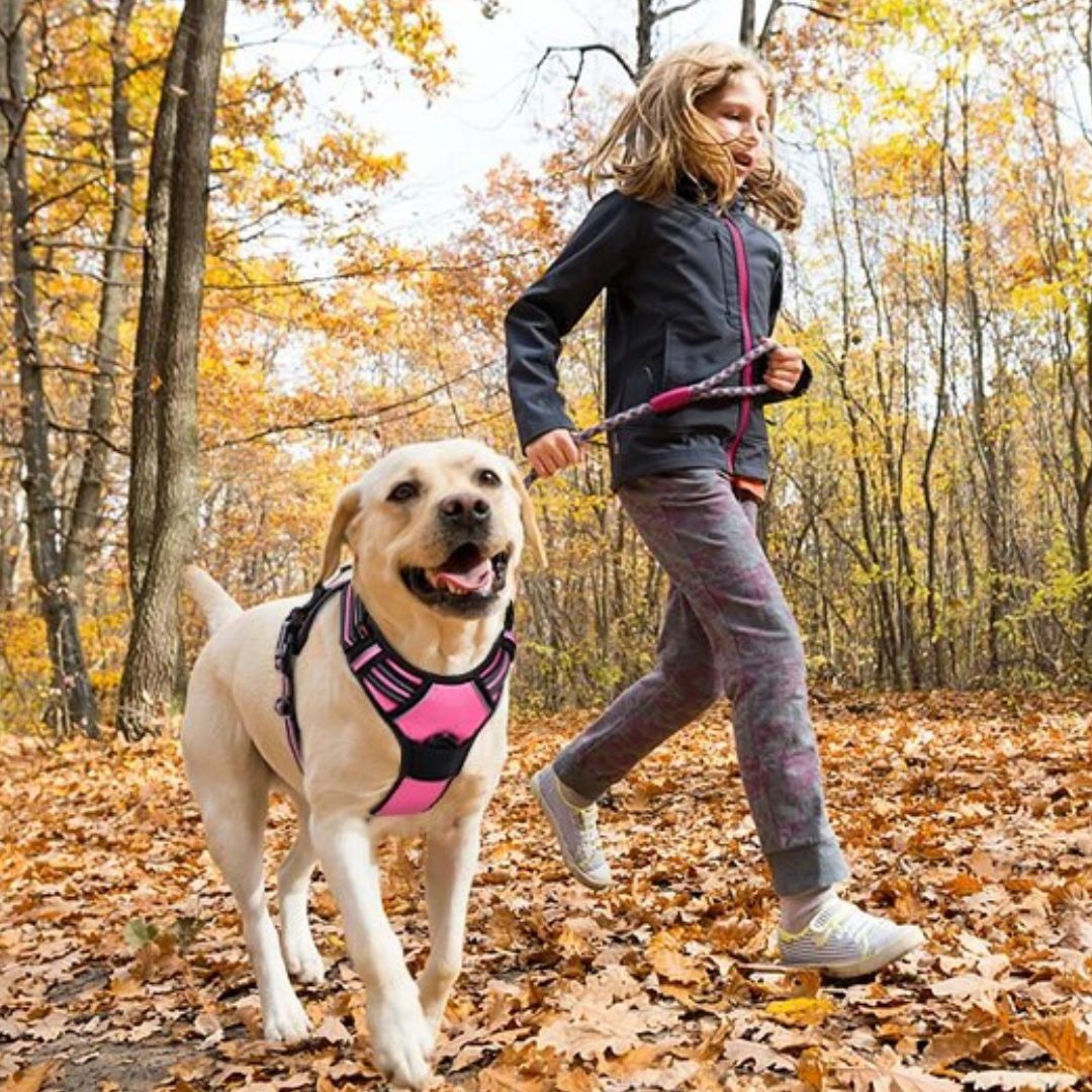 RELAX HARNESS™ | HARNAIS CHIEN ANTI TRACTION