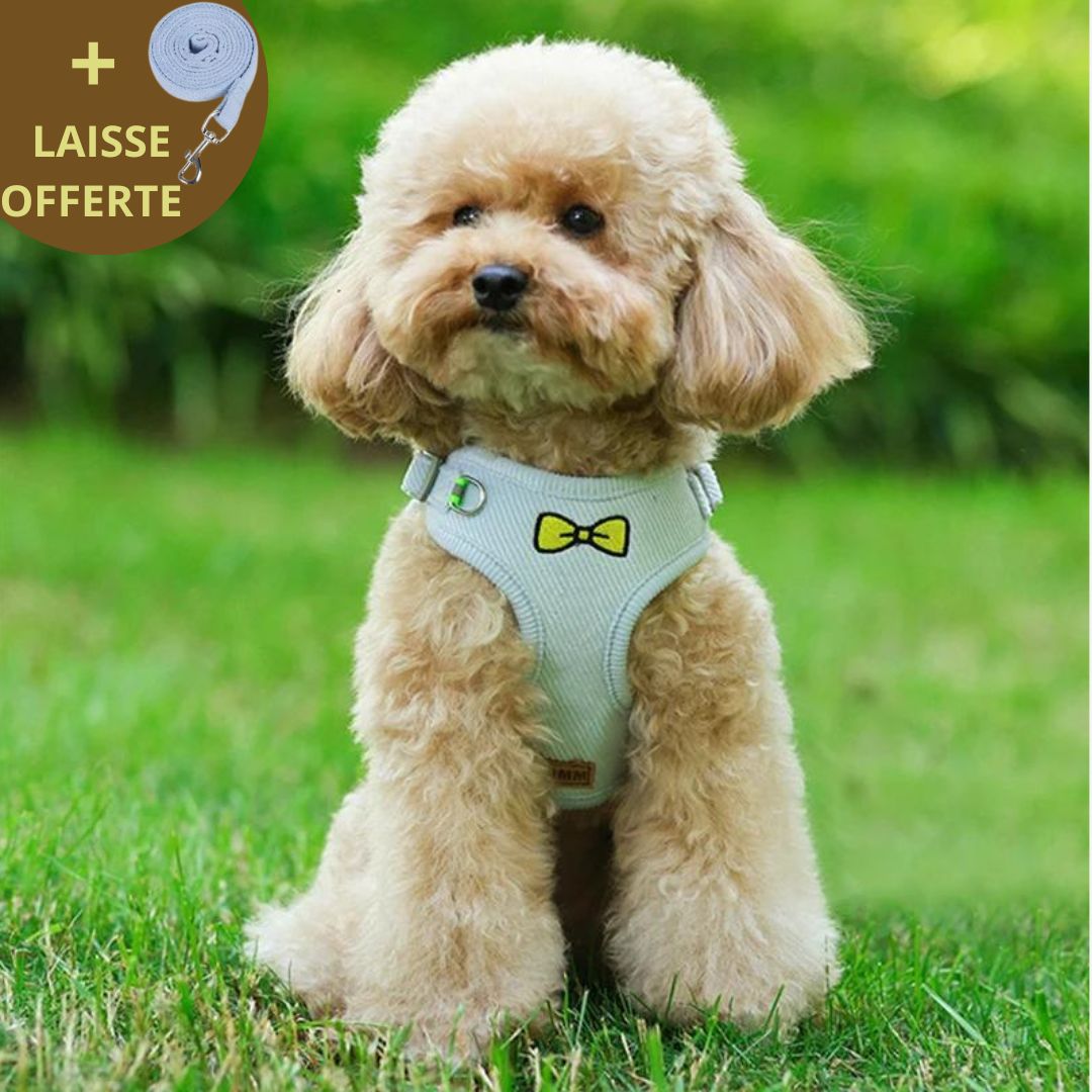 FRENCH CHIC HARNESS™ | HARNAIS CHIEN LUXE