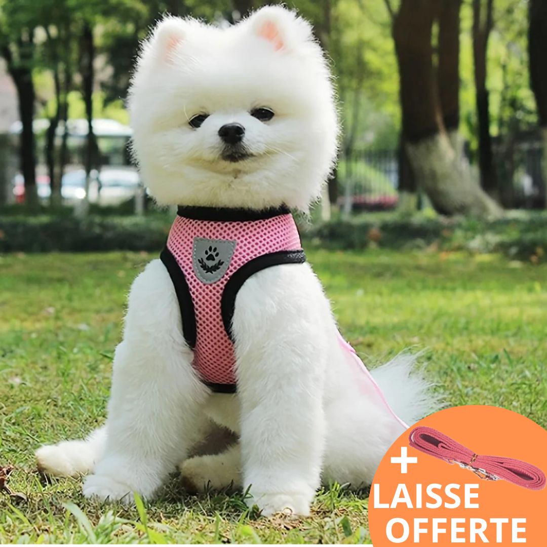 ROSE HARNESS™| HARNAIS CHIEN ROSE
