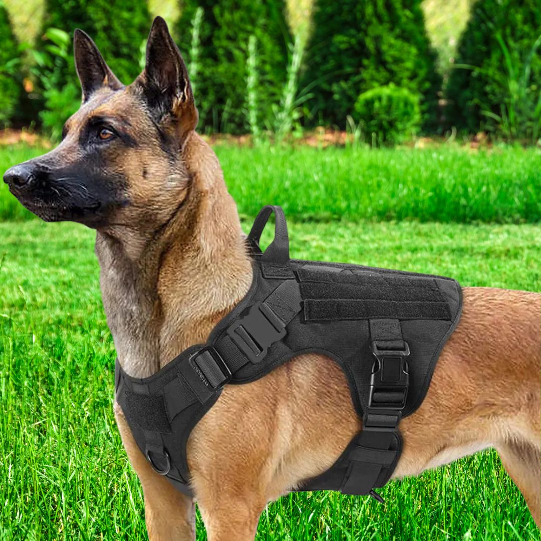 TACTIC EXPERT™ | HARNAIS TACTIQUE CHIEN