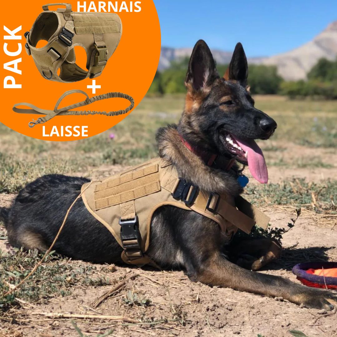 TACTIC PRO™ | HARNAIS TACTIQUE CHIEN