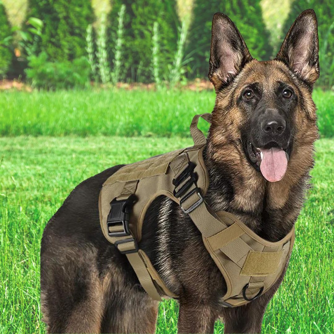 TACTIC EXPERT™ | HARNAIS TACTIQUE CHIEN