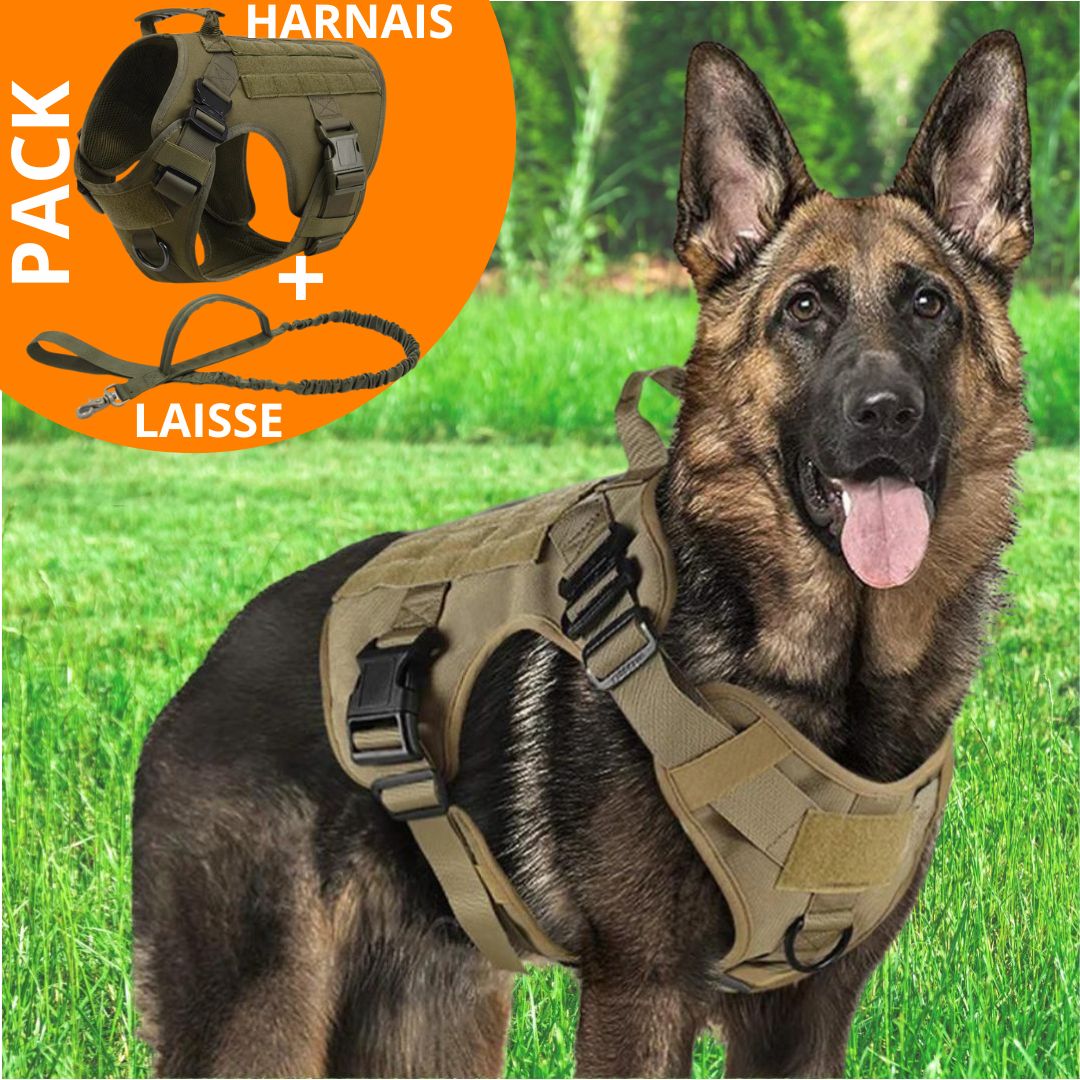 TACTIC PRO™ | HARNAIS TACTIQUE CHIEN