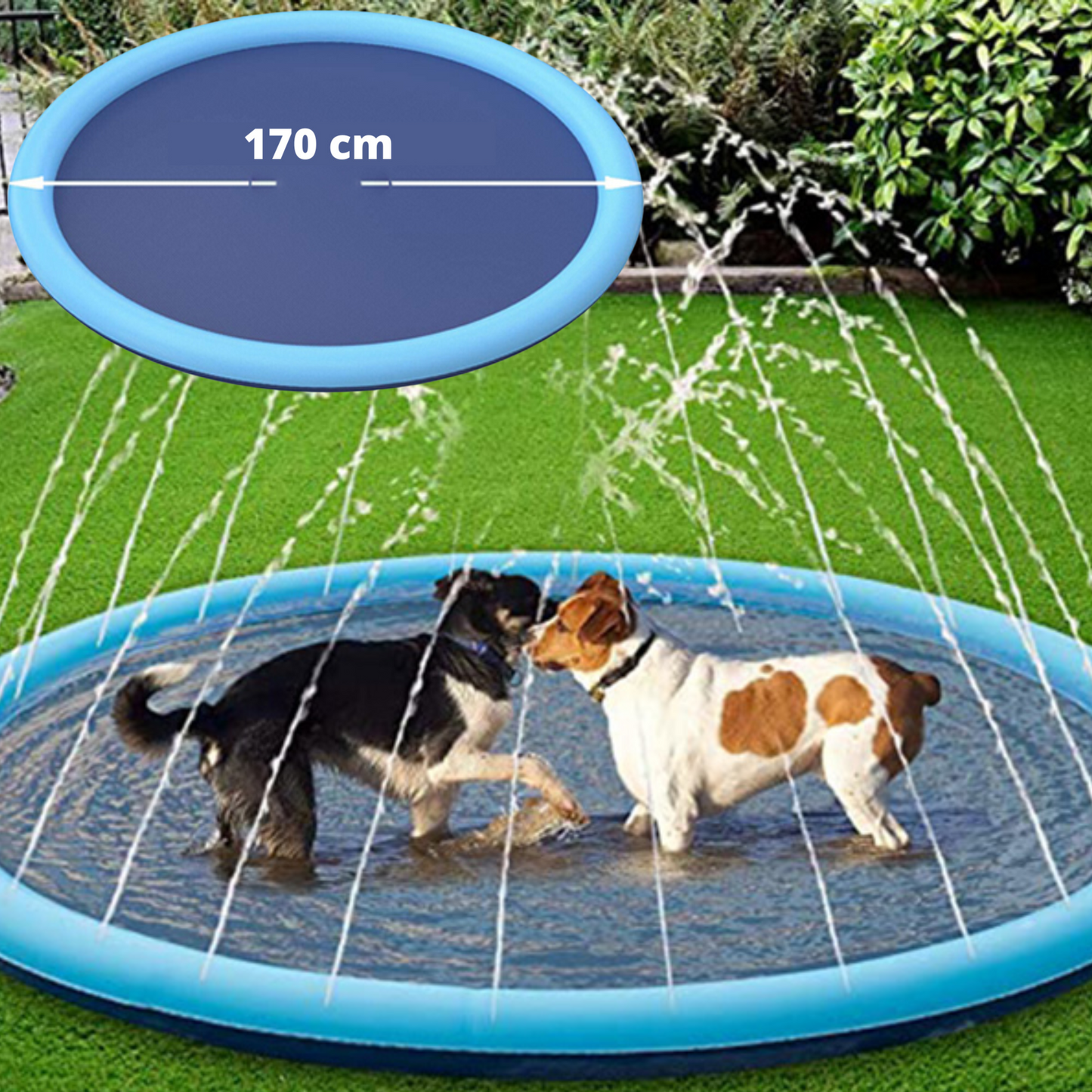 WATER SPLASH™| PISCINE POUR CHIEN AVEC ARROSAGE INTÉGRÉ