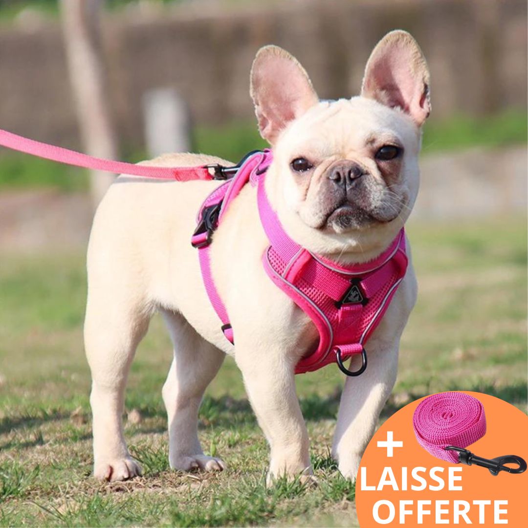 PINK HARNESS™ | HARNAIS CHIEN ROSE