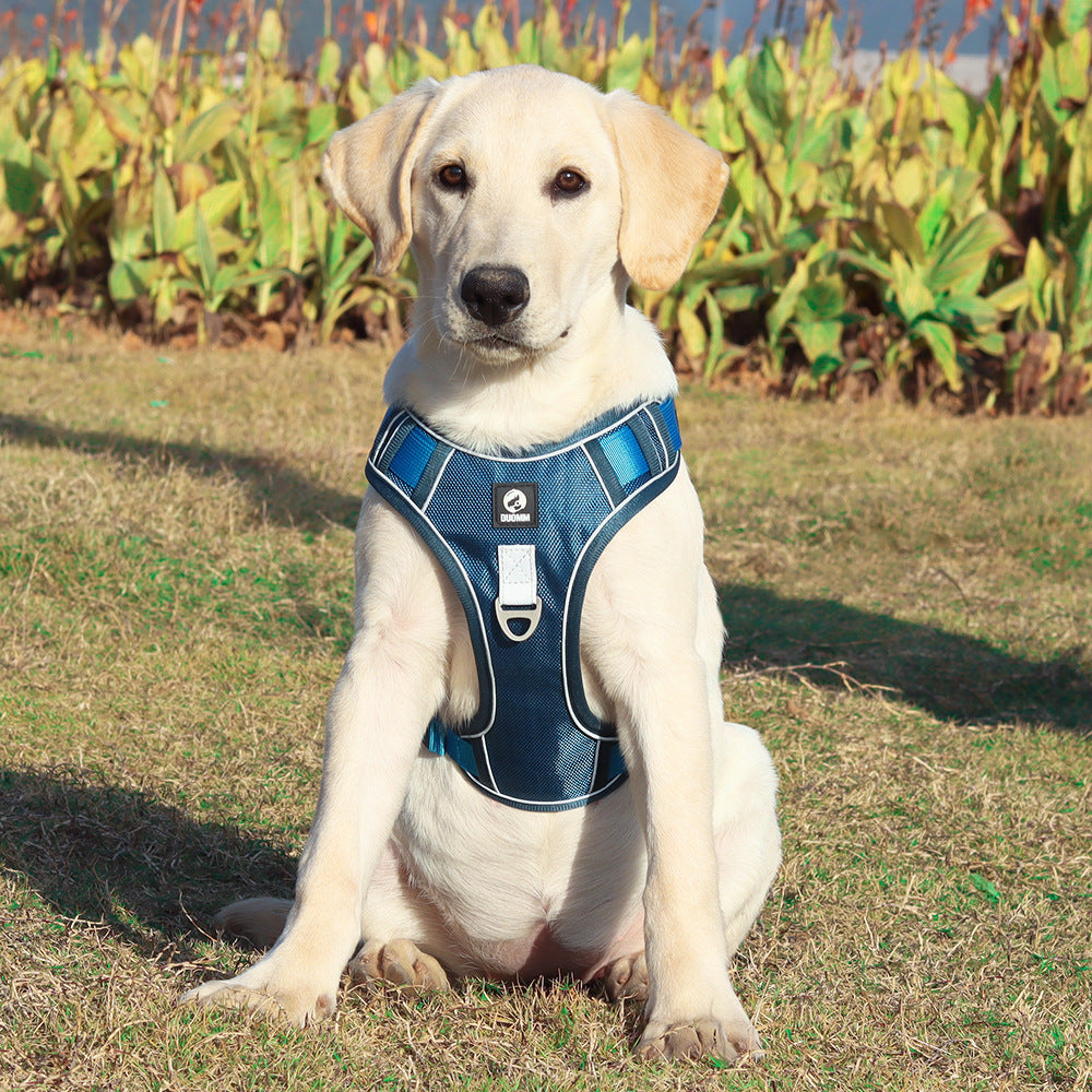 COMFORT HARNESS™ | HARNAIS CHIEN ANTI TRACTION