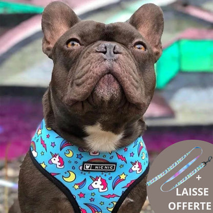 FRENCH LOVER™| HARNAIS BOULEDOGUE FRANÇAIS
